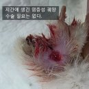 동물병원 All Pets 이미지