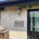 하도조아 이미지