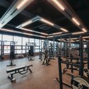 휴 휘트니스 이미지