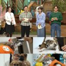 백일농장 이미지