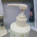 플레져 가든(PLEASURE GARDEN) 이미지