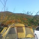 그린팜스테이 이미지