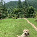 장승나라 소도 이미지