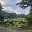 오동나무공원 이미지