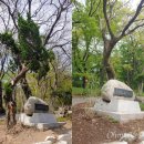 용마고 앞 이미지