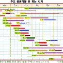 3월 셋째 주 식목일은 3.15부터 이미지