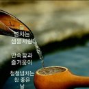 21:21 / 38:57 글귀가 일치한 세 명의 전사자! 그 비밀을 파헤치다 이미지