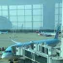 031 | 대한항공 인천-달라스 KE031편 일반석 후기 (기내식, 간식, 왕복 비행기, ICN-DFW, 대한항공 일반석, KE...
