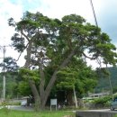 한산마을 이미지