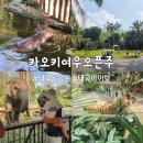 [파타야 마지막날] 아이랑 가기좋은 동물원ㅣ카오키여우오픈주