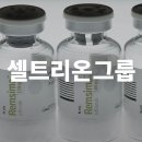 앤즈