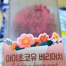 아이초코유