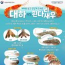 언니네펜션 이미지