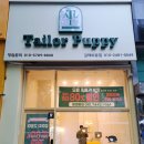 테일러퍼피 이미지