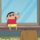 우다다애견펜션 이미지