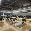 웰빙요가(오전) 이미지