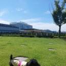 유니포리 이미지