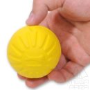 스타애견 이미지