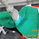 트리덴탈 이미지