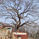 월영동302 이미지