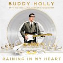 Raining In My Heart(Leo Sayer) 이미지
