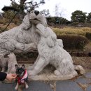 더예쁘개 이미지