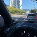 댕댕이와 냥냥이 울산장현점 | [6월] 나의 초여름🍉