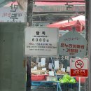 중원-69 | 성남 모란역 종합시장 국수 전문점 수현이네국수집에서 먹은 손칼국수 후기