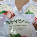 안터원유통