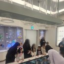 과자공장 견학?? 아이와 무료로 체험할 수 있는 스위트 파크 롯데 어린이 식품 체험관 / 롯데제과 견학??