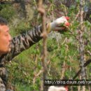 명산차민박 이미지