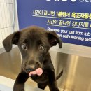 올리스24 명지점 이미지