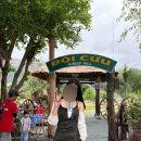 남안농장 | 나트랑 여행 3일차 판랑사막투어 일정과 후기 라이씨푸드 후기