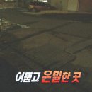 [동물농장] 수로 속에 갇힌 황구가 찾는 희망.JPG (감동주의) 이미지