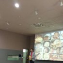 송파경찰서 이미지