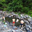 대성사슴농장 이미지