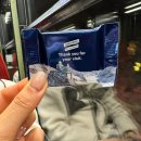 평화고속관광여행사(주) | 스위스신혼여행] 하루종일 융프라우VIP패스 2일권으로 관광하기, 그린델발트 여행후기(신혼여행 추천)
