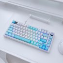 JK 바디박스 | 기계식 키보드 추천, 긱스타 JK07 PBT 유무선 RGB 탑 마운트 키보드 에메랄드 바다 사용후기