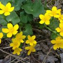 하기공인중개사사무소 이미지