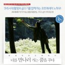 포토에세이주