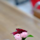 바스트 코사지(burst corsage) 이미지