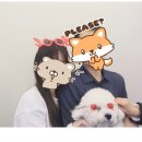 뚱댕 이미지