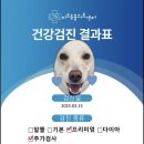 미르동물의료센터