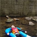 수원-1241 이미지