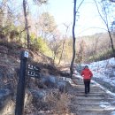 장원초등학교 이미지