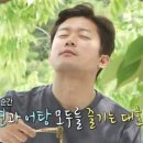 산들국수 이미지