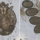 고래힐 동물병원 이미지