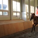 서울승마힐링캠프 이미지