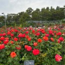 말번식센터 1층 | 서울 6월 가볼만한 곳, 마곡 서울식물원 (입장권 가격, 주차, 카페)