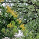 별다올근린공원 | 용인 별다올근린공원, 가족과 함께하는 행복한 시간
